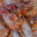 Crevettes cuite Moyenne (1 portion entre 3 et 4 pièces soit 200 gr)
