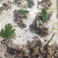 Dos de Cabillaud à la crème et champignons ( 1 portion 200gr) "Maison" 