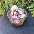 Tapas petits poulpes au paprika 