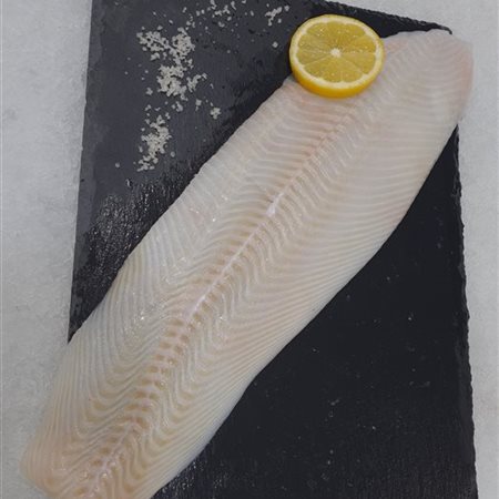 Filet de flétan (1 portion environ 200 gr)