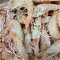 Crevettes rose du large de Sète (1 portion environ 100 gr)